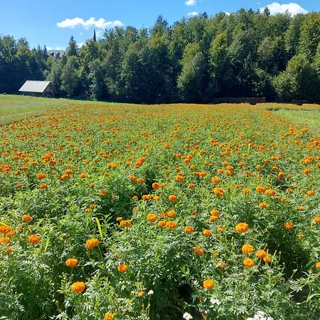 Apartma Markelj Radovljica